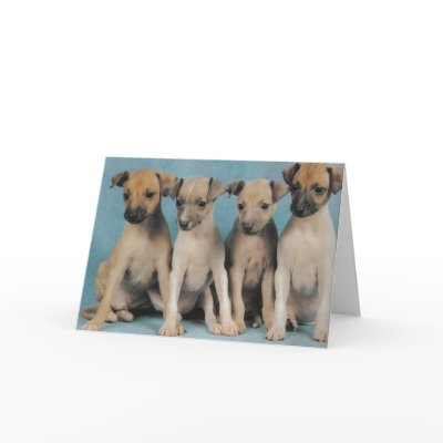 4 puppies greeting card by rescueadog