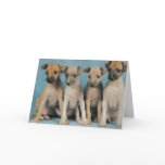 4 puppies greeting card