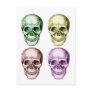 4 Skulls Face Colours