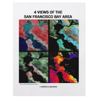 4 Views Of The Bay Area (Satellite Imagery) Flyer Design by wordsunwords