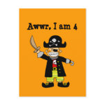 4 year old pirate boy