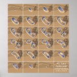 4D torus fly-through cross-section posters