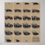 4D torus fly-through cross-section Posters
