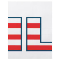 4th july america 3 custom flyer