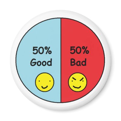 50% Good and 50% Bad Pie Chart Magnets by RoseFleurDesigns