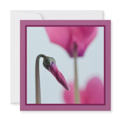 50th Birthday Pink Flower Invitation by claire_shearer