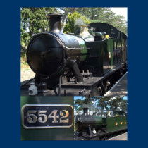 5542 Poster posters