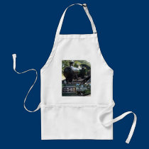 5542 Steam Locomotive aprons