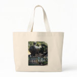 5542 Steam Locomotive Canvas Bags