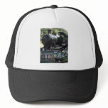 5542 Steam Locomotive Hats