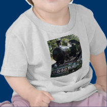 5542 Steam Locomotive t-shirts