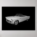 55 T Bird posters