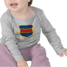 55th Wing T-shirt