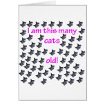 59 Cat Heads Old