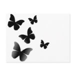 5 Black Butterflies