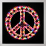 5-colour peace sign poster