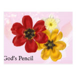 5 Gods Pencil Post Card