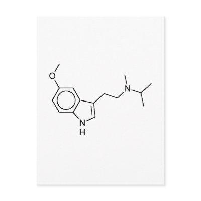 5-MeO-MiPT Post Card by TheCommitteeTo