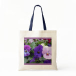 5 Purple Lavender Blue Pansies