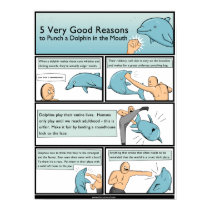 5 Reasons to Punch a Dolphin in the Mouth posters