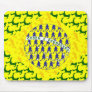 5 star soccer player flag of brazil use pads