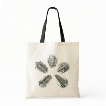 5 Trilobites Bag