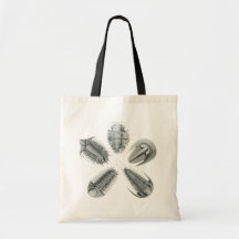 5 Trilobites Bag