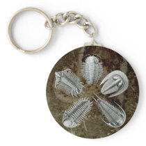 5 Trilobites Keychain