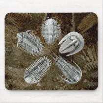 5 Trilobites Mousepad