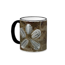 5 Trilobites Mug