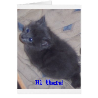 5 week old grey kitten 3-23-06, Hi there! by lakeviewclassof2006