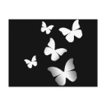 5 White Butterflies