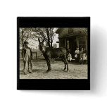 5x7 GLASS NEGATIVE  Milwaukee Mule buttons