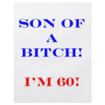 60 Son of a bitch Flyer