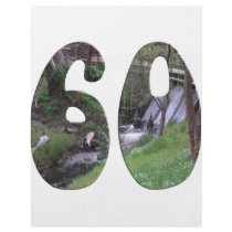 60th Birthday Flyers