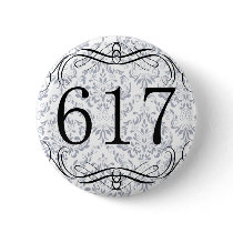617 Area Code Pins