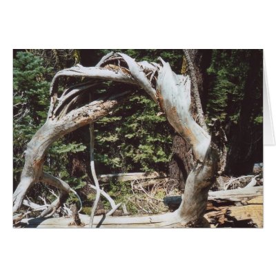 62. Wooden Arch, Tahoe, CA Card by JBPhotoBiz