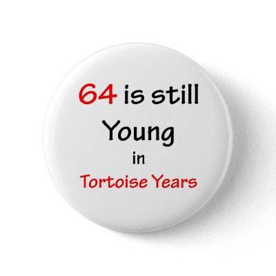 64 Tortoise Years by oddballbirthdays9