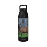 6 Point Bull Elk Photo Reusable Water Bottles