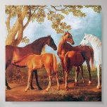 6a   Mares and Foals posters