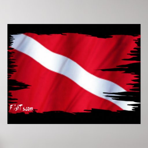 6ft. Tattered DiveFlag Poster