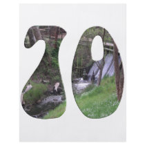 70th Birthday Flyer