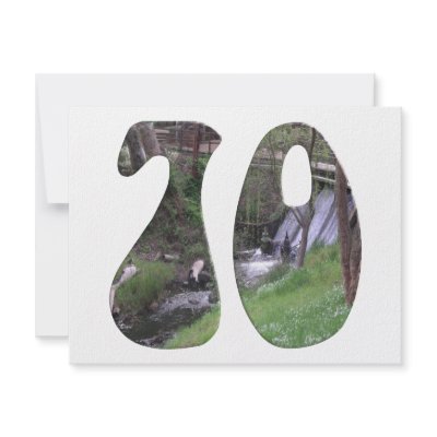 70th Birthday Invitations by 70th_birthday_gifts