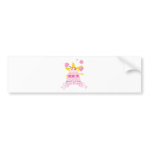 73 Year Old Birthday Cake Bumper Stickers