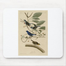74_Indigo_Bird.jpg Mouse Pad