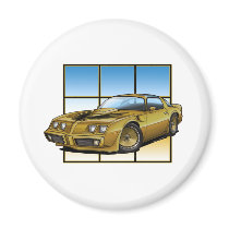 78-81 SE Trans Am Magnet