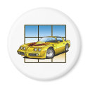 78-81 Trans Am magnets