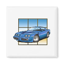 79-81 Trans Am Magnets