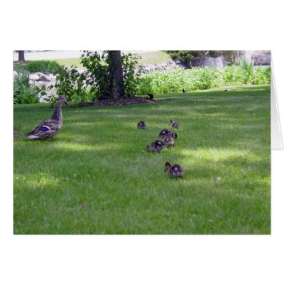 7 Little Ducks Greeting Card by archemedes