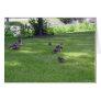 7 Little Ducks Greeting Card